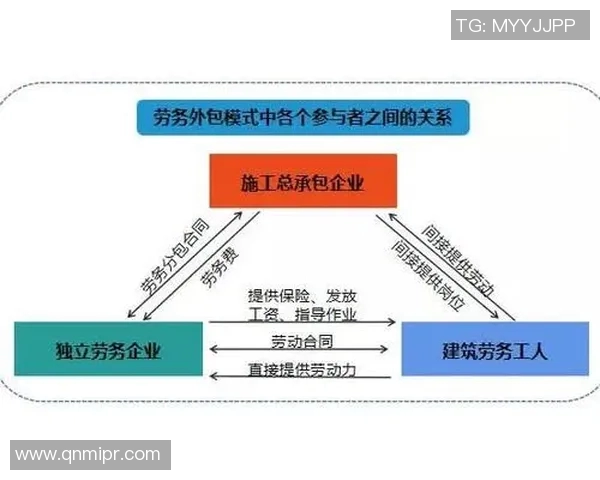 上海排球队个人能力分析与战术配合的深度探讨 上海排球队个人能力分析与战术配合的深度探讨
