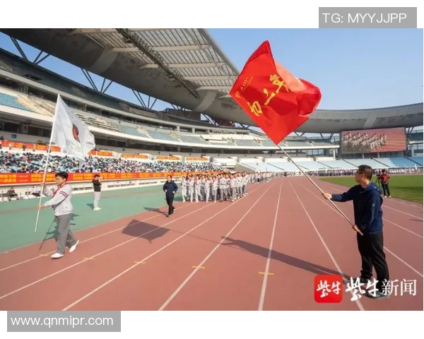 南京羽毛球队反击之路：从困境到崛起的全景解析与未来展望