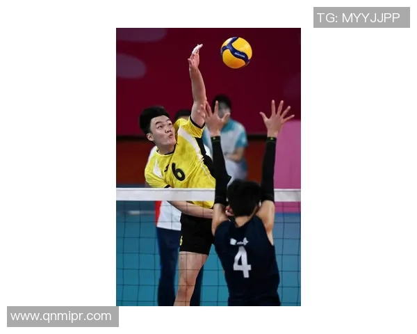 成都排球队灵活性排名创新高展现排球运动新风貌