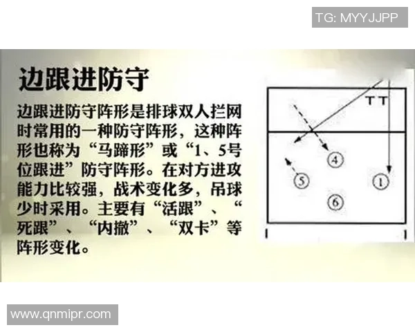 西安排球队反击战术分析与得失总结探讨 西安排球队反击战术分析与得失总结探讨