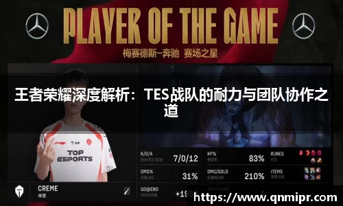 王者荣耀深度解析：TES战队的耐力与团队协作之道